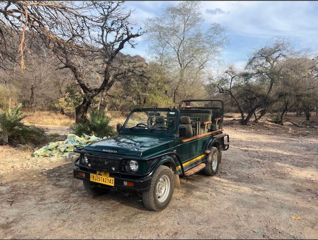 Jeep Safari in Ranthambore - Private wildlife tour for up to 6 persons